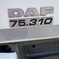 Daf 75 310